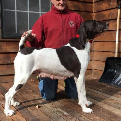 Abbey Bab's Von Seiger Boss