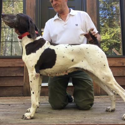 Belle Slash Von Seiger Boss