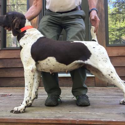 Birdie Slash Von Seiger Boss Female