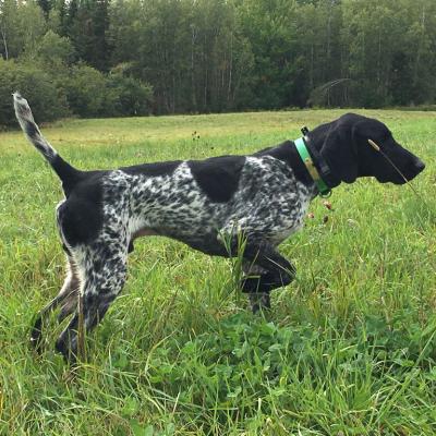 Black Ben Von Seiger Boss