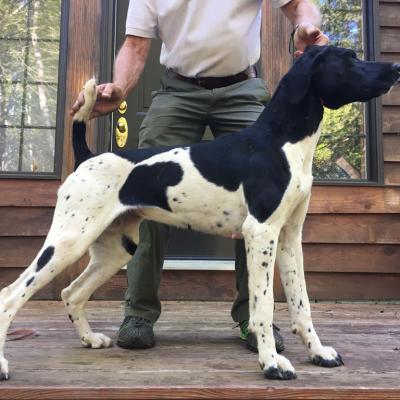 Maggie Babs Von Seiger Boss