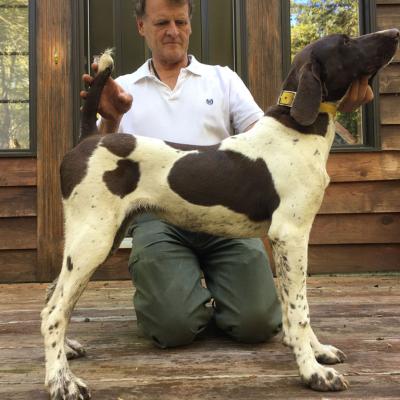 Trouble Bird Von Seiger Boss Female